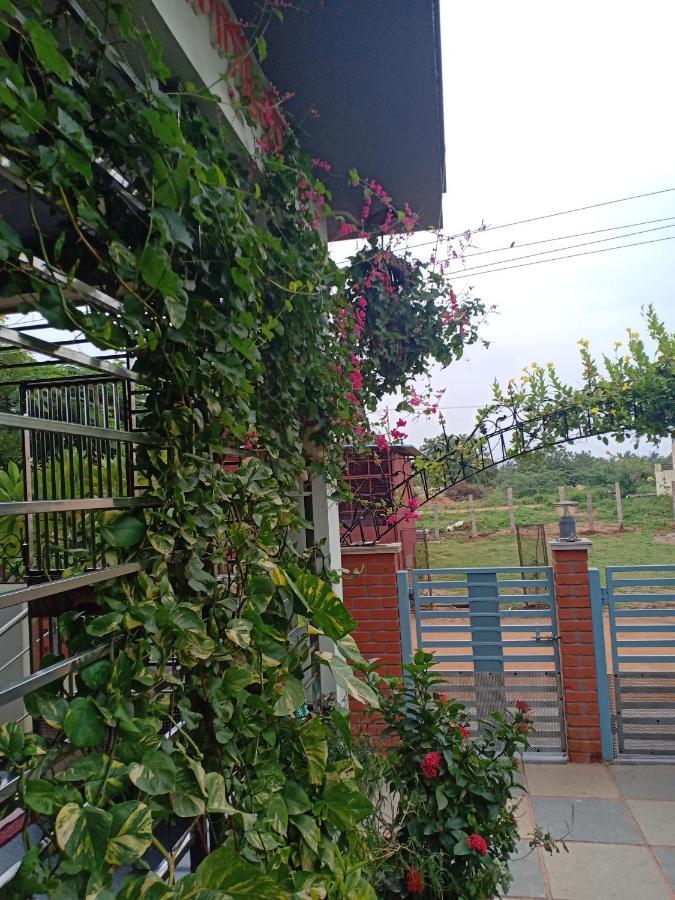 Mango Tree Homestay Хампі Екстер'єр фото