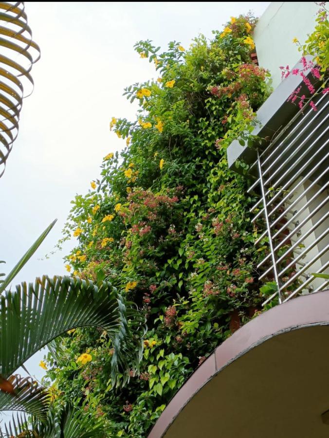 Mango Tree Homestay Хампі Екстер'єр фото