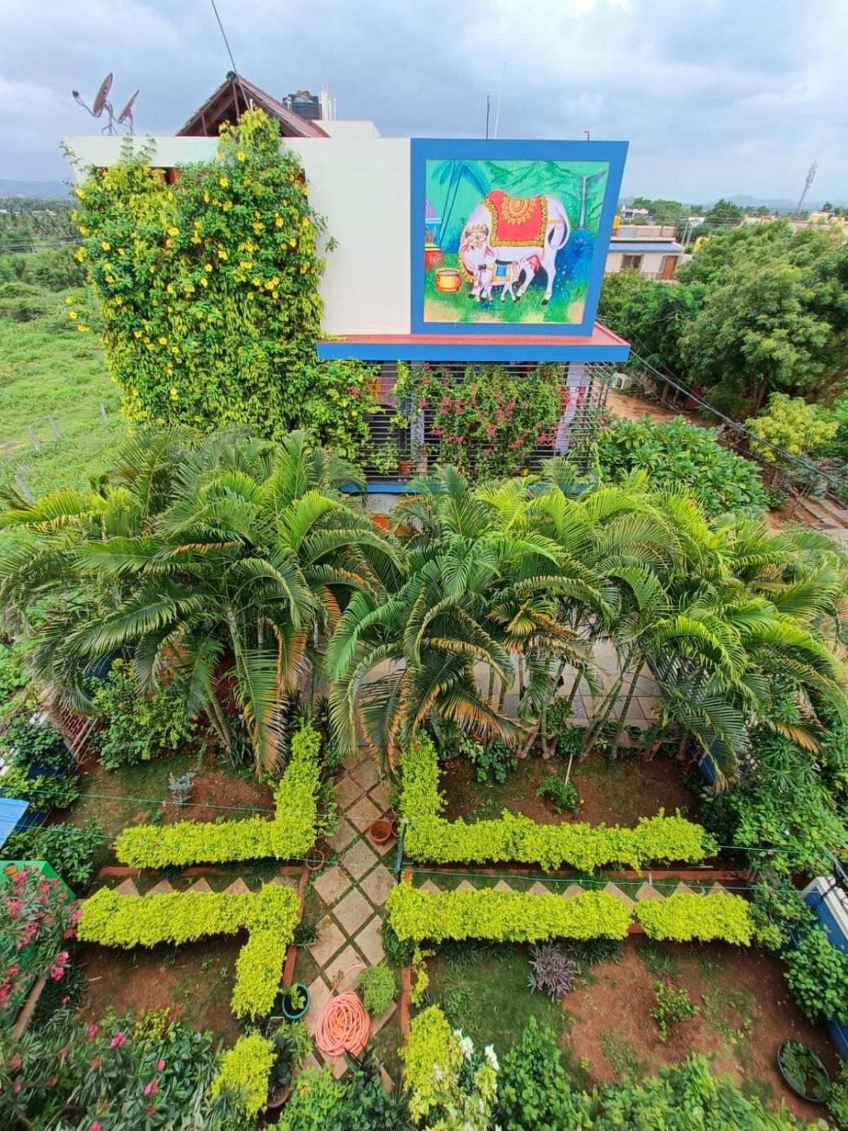 Mango Tree Homestay Хампі Екстер'єр фото